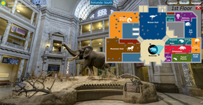 Do Louvre à Capela Sistina: veja cinco museus para você fazer um tour virtual