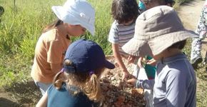 Escola budista na Chapada dos Veadeiros está em expansão