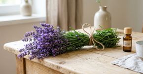 O que significa sentir cheiro de lavanda derrepente?
