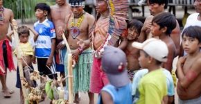 Fotojornalista fala sobre fotografia, arte e sustentabilidade na Matilha Cultural