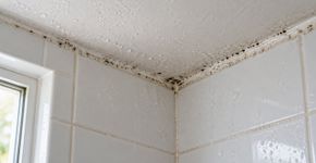 Fechar o banheiro depois do banho e esperar o vapor desaparecer sozinho parece normal, mas na Alemanha a orientação é remover rapidamente o excesso de umidade com ventilação para diminuir as condições que favorecem o aparecimento de mofo