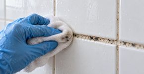 O rejunte escureceu? O passo que deve vir antes de aplicar qualquer mistura de limpeza