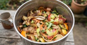 Só jogar restos úmidos da cozinha na composteira cria um desequilíbrio e uma segunda parte seca precisa acompanhar esse material
