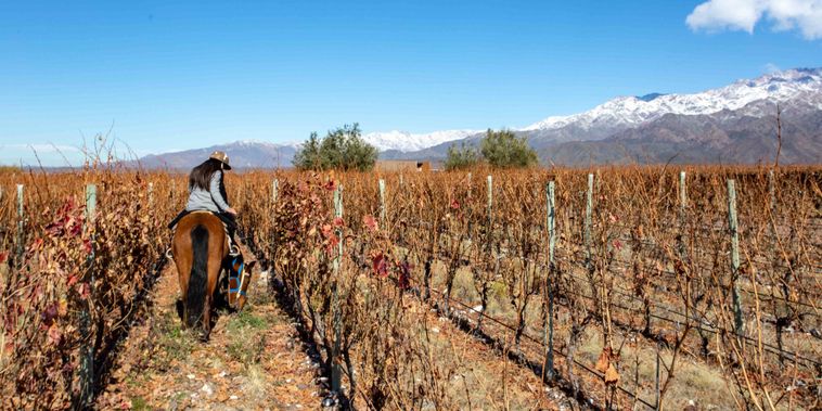 Featured main: Mendoza, na Argentina, tem hotéis até 20% mais baratos brasileiros