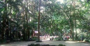 Foto: (Picasa 3.0)