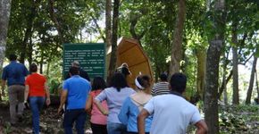 Megafones ampliam sons da natureza em Nobres (MT)