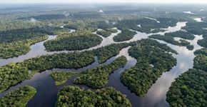 Mais de 400 ilhas se espalham por cerca de 130 quilômetros no Rio Negro: o parque amazônico de mais de 350 mil hectares onde a parte fluvial ocupa cerca de 60% da área protegida