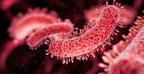Foto: (koto_feja/istock)