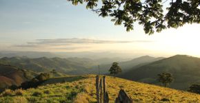 Foto: (Vinicius_Montgomery/iStock)