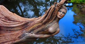 Artista usa árvores, argila e conchas para criar belas esculturas