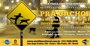 Matilha Cultural prepara Mês Especial Prácachorro