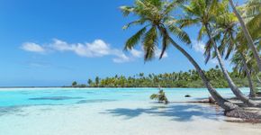 Foto: (Mlenny/iStock)
