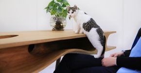 Foto: (Lai Zhenyu)