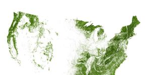 EUA: mapas mostram mais de 4 milhões de km² de florestas