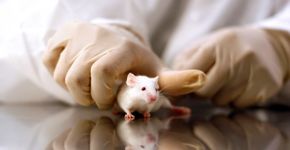 Foto: (filo/istock)