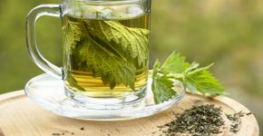 Chá de urtiga: veja benefícios para inflamações e saúde dos rins