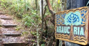 Parques do Rio Tietê são opções de lazer, aprendizado e de espaços verdes no meio de SP