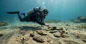 Mergulhadores encontram ferramentas de pedra em nascente submersa há pelo menos 9 mil anos na Austrália, e 44% delas vieram de rochas localizadas a 23 km de distância