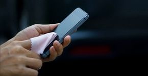 Pesquisa encontra 23 mil fungos e bactérias em celulares