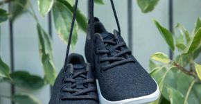 Foto: (Reprodução/Instagram/@allbirds)