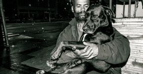 Morador de rua morre e cão permanece ao lado do corpo em SP