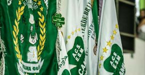 Do grupo Barra Funda aos cordões carnavalescos