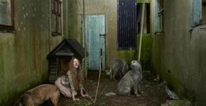 Ensaio reencena drama de crianças criadas por animais