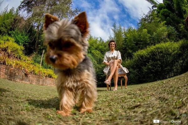 Cachorros de diferentes raças e tamanhos e compõe as fotos do book do casamento ou na própria cerimônia (imagem: Giovani Garcia) 