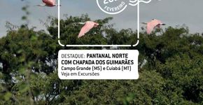 Contação de “Mil e Uma Noites” no Sesc Itaquera