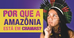 Por que a Amazônia está queimando?