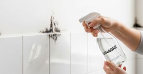 Por que borrifar vinagre nos cantos da casa pode ser uma solução eficaz contra o mofo e umidade?