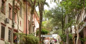 Foto: (PUC-SP - divulgação)