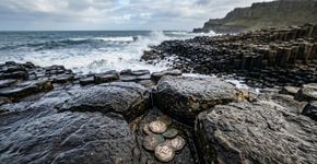 Por anos, visitantes deixaram moedas para dar sorte nas rochas do Giant’s Causeway; agora mais de 10 mil foram retiradas para proteger o patrimônio da UNESCO