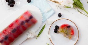 Aproveite o Verão para aprender a receita do terrine de frutas com ágar-ágar