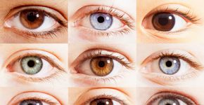 Foto: (Anthony Lee/istock)