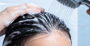 Misturei óleo de melaleuca no meu shampoo e meu couro cabeludo nunca esteve tão limpo