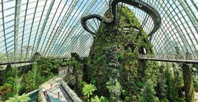 “Urban Farms” revitalizam centros urbanos ao redor do planeta