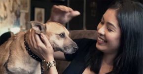 Campanha mistura tatuagem e adoção de animais e emociona