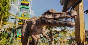 Foto: (Divulgação/T-Rex Park)