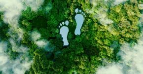 Foto: (Petmal/iStock)
