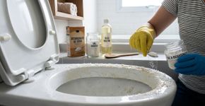 Por que se deve jogar sal no vaso sanitário e com que frequência isso deve ser realizado?