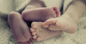 Foto: (Istock/cbording)