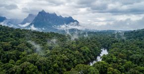 2,25 milhões de hectares de Amazônia cercam o ponto mais alto do Brasil: o parque onde o Pico da Neblina chega a 2.994 metros e é chamado de Yaripo, ou Casa dos Espíritos, pelos Yanomami