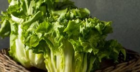 Foto: (iStock/ o:bhofack2)