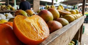 A fruta de ouro que tem cor de mel e sabor de caramelo e que poucos brasileiros conhecem