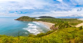 Foto: (iStock/Cesar Okada)