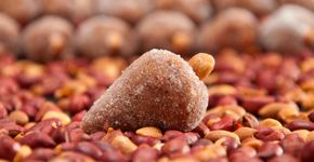 Receita de cajuzinho fitness com chia