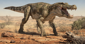 Conheça o ancestral dos crocodilos que habitava a terra firme antes das espécies modernas