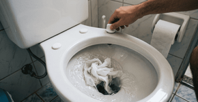 Demorei muito para entender por que o papel higiênico não deve ser jogado no vaso sanitário