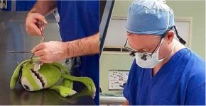 Médico opera brinquedo para fazer companhia à criança em hospital